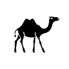 Camel black glyph icon. Arabian domesticated animal, tropical climate fauna. Exotic wildlife, wilderness inhabitant silhouette symbol on white space. Two humped camel vector isolated illustration