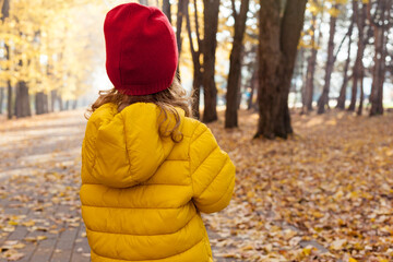 Girl walking through the autumn forest on warm sunny day. Exploring nature, travel, family vacation. Outdoor recreation and awesome adventures with kids in fall
