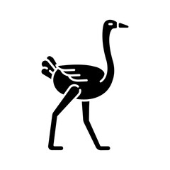 Ostrich black glyph icon. Tropical wilderness fauna, african wildlife, zoo animal. Ostrich farm, ornithology silhouette symbol on white space. Exotic bird with long legs vector isolated illustration