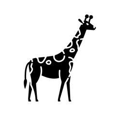 Giraffe black glyph icon. Exotic animal with long neck, african herbivore wildlife. African savanna, tropical zoo silhouette symbol on white space. Tall camelopard vector isolated illustration