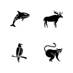 Different animal species black glyph icons set on white space. Killer whale, exotic lemur, eagle and elk silhouette symbols. Predatory bird, land animals and sea life. Vector isolated illustrations