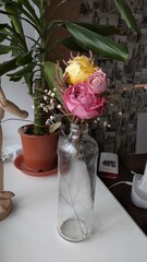 pink roses in vase