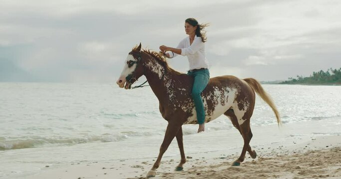 Woman horseback riding down the beach at sunrise on beautiful brown and white horse, majestic slow motion