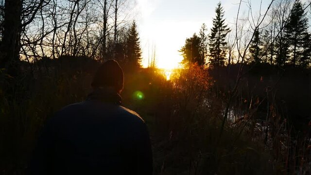 Man is walking towards a Beautiful Sunset surrounded by Shiny Reed, Autumn Forest and Small River Handheld footage