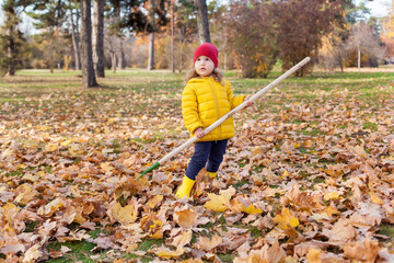 A little cute girl of 3-4 years old in yellow jacket rakes in pile of autumn maple leaves in the backyard on a Sunny autumn day. Help cleaning up the fallen leaves.
