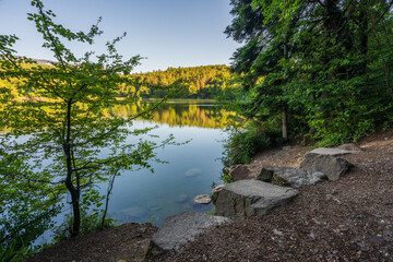 View of the beautiful Lake Monticolo in the morning in the municipality of Eppan in Italian South Tyrol.