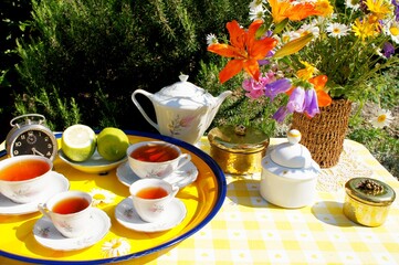 breakfast with tea in the garden
