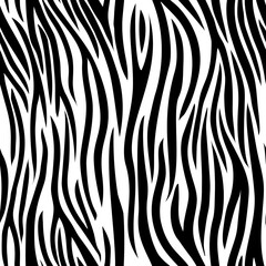 Fototapeta na wymiar zebra skin texture vector pattern