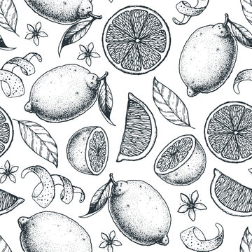 Lemon seamless pattern. Sketch vector illustration. Design for packaging design. Lemon citrus food. Lemon hand drawn illustration.