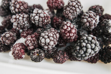 frozen blackberries in a lunch box on white background