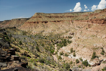 Zion National Park