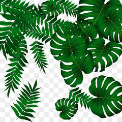  Vector tropical pattern