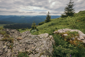 A rocky mountain with trees in the background