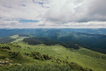 A field with a mountain in the background