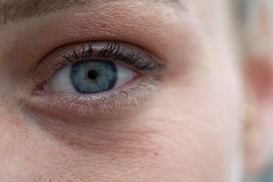 Close-up of human eye