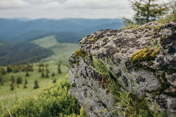 Obraz premium A close up of a rock mountain
