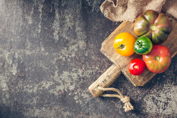 Fresh, ripe multi colored tomatoes on a dark background. Organic food.