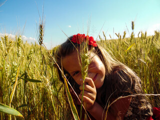 girl in a wheat field - obrazy, fototapety, plakaty