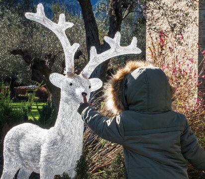 Boy Touching Artificial Reindeer Nose