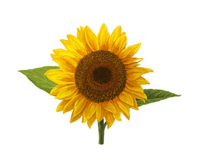 Fototapeta premium cartoon scene with beautiful flowers on white background illustration