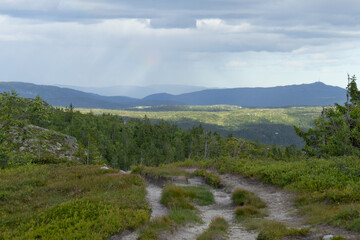 Naklejka premium Summer landscape in mountains area.