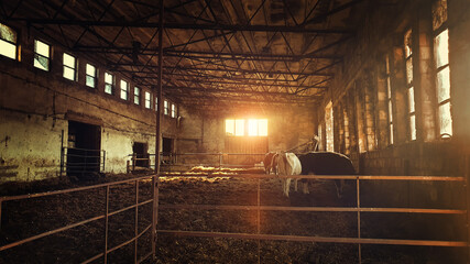 cowshed © Paulina