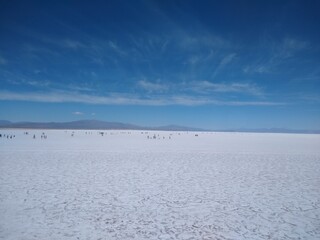 winter landscape with snow