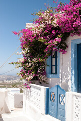 pink and white flowers growing on a white house wall