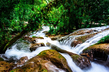 Water Stream, Waterfall