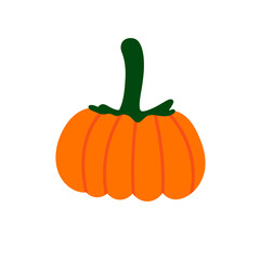 Pumpkin vector flat illustration. Pumpkin for Halloween and thanksgiving day design. Organic autumn vegetables