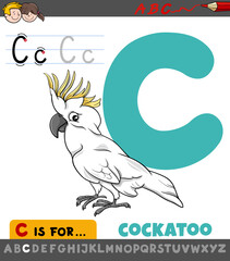 letter C worksheet with cartoon cockatoo bird © Igor Zakowski