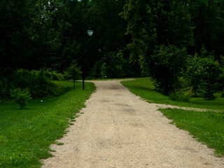 View of trees, alleys and vegetation in the botanical garden in Radzionków. Ready free entry space.