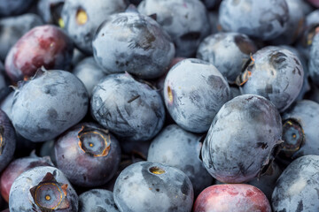 Heidelbeeren