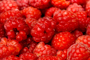 Himbeeren