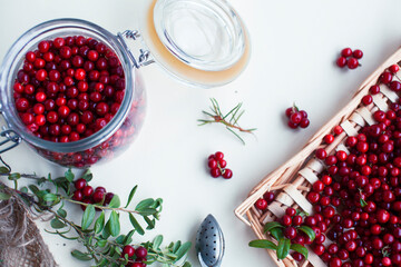 autumn berries on table, lingonberry raw closeup