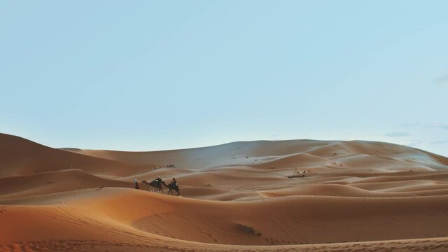 Moroccan bedouin with camels silhouettes in sand dunes of Sahara desert. Caravan in Sahara desert travel tourism background safari adventure. Sahara desert of Morocco, 4k