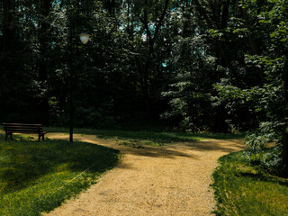 View of trees, alleys and vegetation in the botanical garden in Radzionków. Ready free entry space.