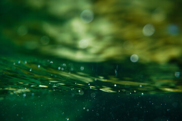 Fondo marino desenfocado de color verde