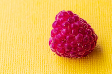 yellow background. On it is a red berry raspberry. Close-up.