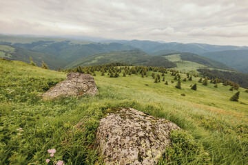 Naklejka premium A field with a mountain in the background