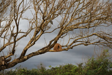 landscape, nature, Wallpaper, full moon, travels