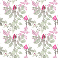 Elegant and weightless seamless pattern with wild rose buds and leaves. Soft and transparent colors, classic theme. Great for fabric. Watercolor illustration on a white isolated background. 