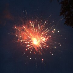 firework
