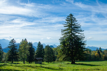 Fototapeta na wymiar Beautiful fields and meadows of Bavarian Alps, Germany
