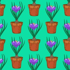 Seamless pattern with crocus in the pot. Vintage vector art. 