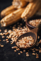 Ripe corn with pea seed on dark background.