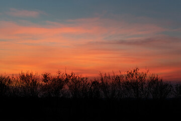 Obraz premium SOL DE ATARDECER