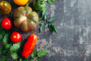 Fresh, ripe multi colored tomatoes on a dark background. Organic food.