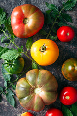 Fresh, ripe multi colored tomatoes on a dark background. Organic food.