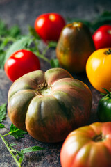 Fresh, ripe multi colored tomatoes on a dark background. Organic food.